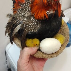 Colorful Ceramic Rooster with Egg and Chicks